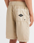 All Day Overdye Layback Boardshorts Boys 8-16