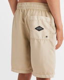 All Day Overdye Layback Boardshorts Boys 8-16