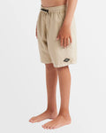 All Day Overdye Layback Boardshorts Boys 8-16