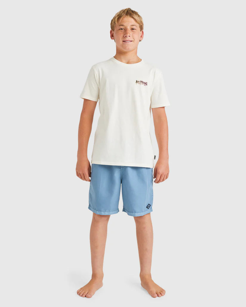 Billabong All Day Overdye Layback Boardshorts Boys 8-16