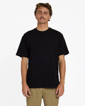 Billabong Premium Wave Wash T-Shirt Black