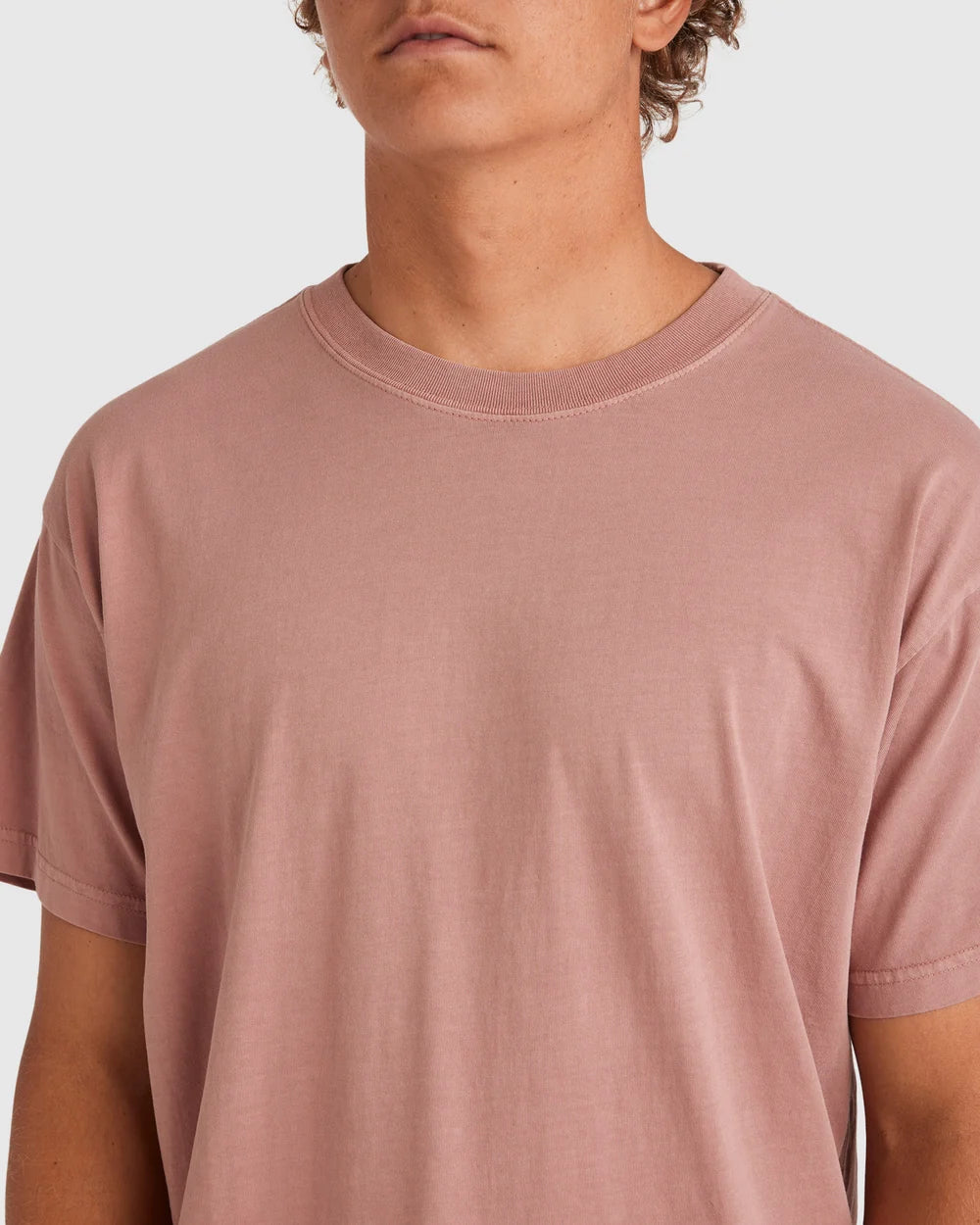 Billabong Premium Wave Wash T-Shirt Dusty Rose