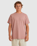 Billabong Premium Wave Washed T-Shirt