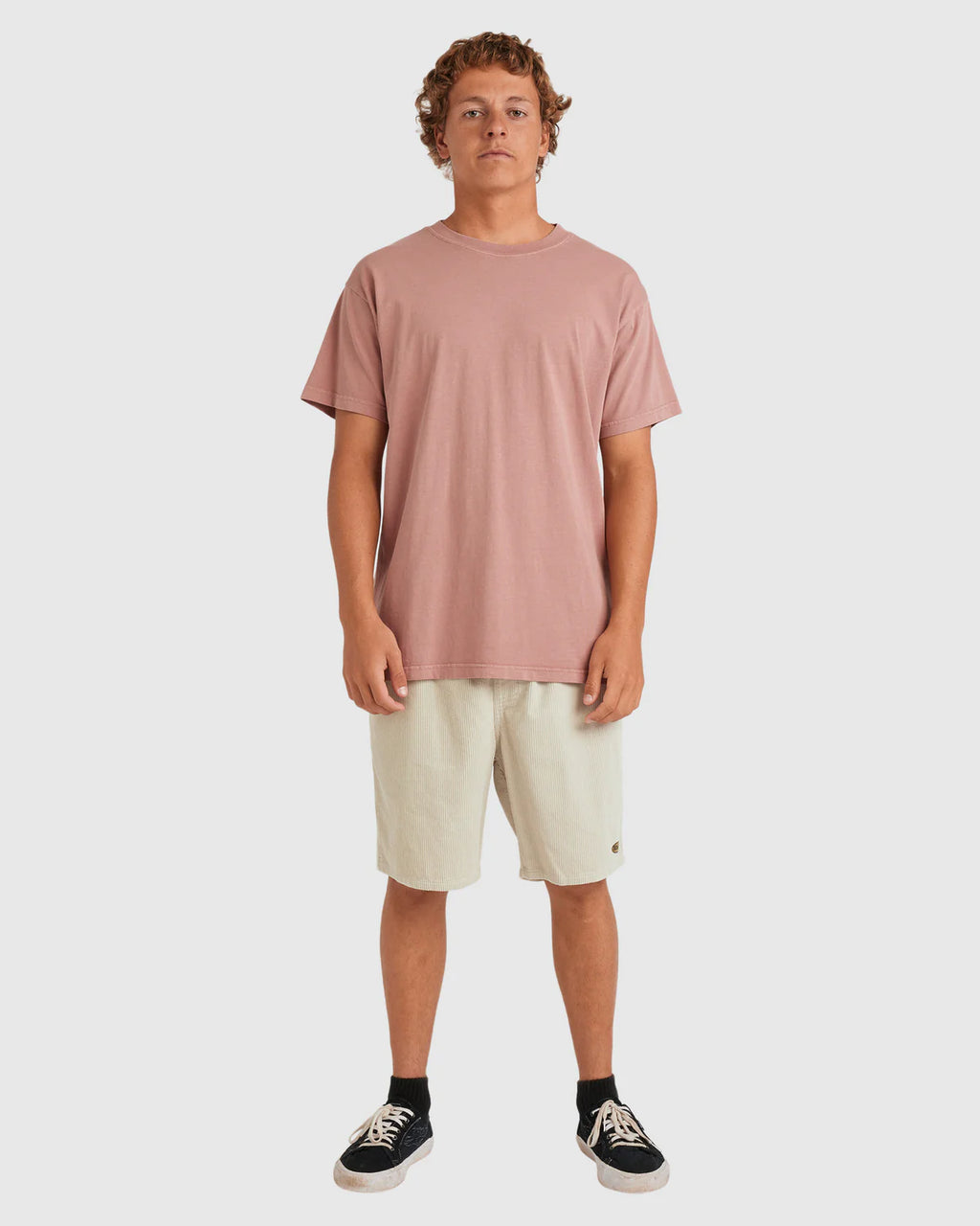 Billabong Premium Wave Washed T-Shirt