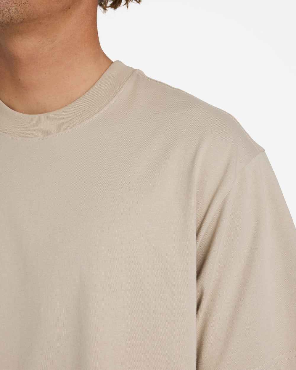 Billabong Premium Wave Washed T-Shirt Mushroom