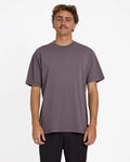 Billabong Premium Wave Washed T-Shirt Steel Purple