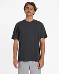 Billabong Premium Wave Washed T-Shirt black