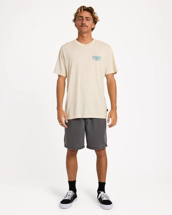 Billabong Heritage Arch Wave Wash Premium T-Shirt