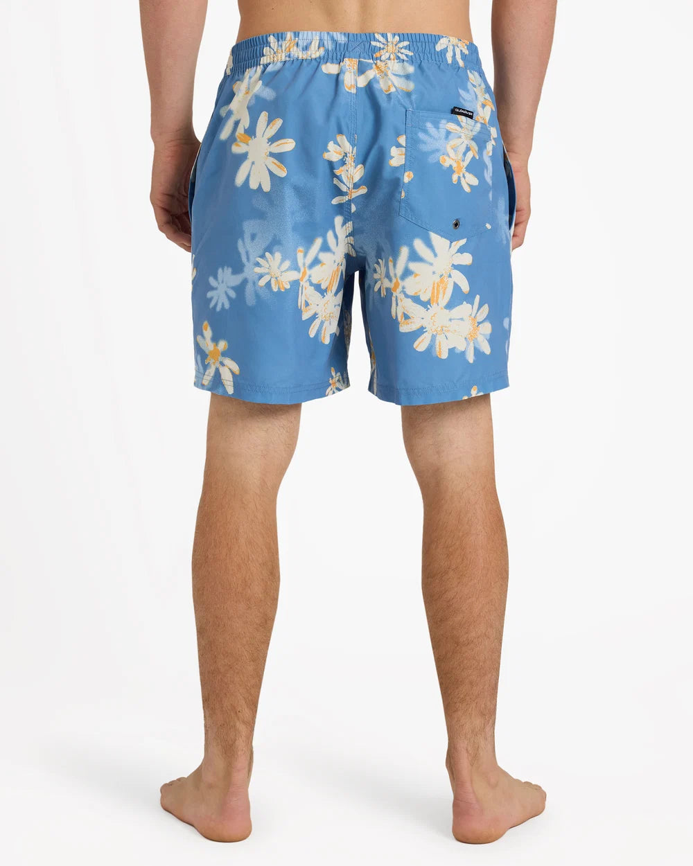 Quiksilver Everyday Printed 17" Volley Shorts