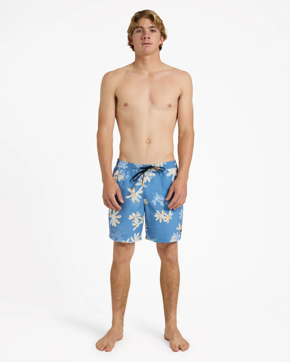 Quiksilver Everyday Printed 17" Volley Shorts