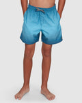 Billabong Boys 8-16 Sergio Layback Boardshorts