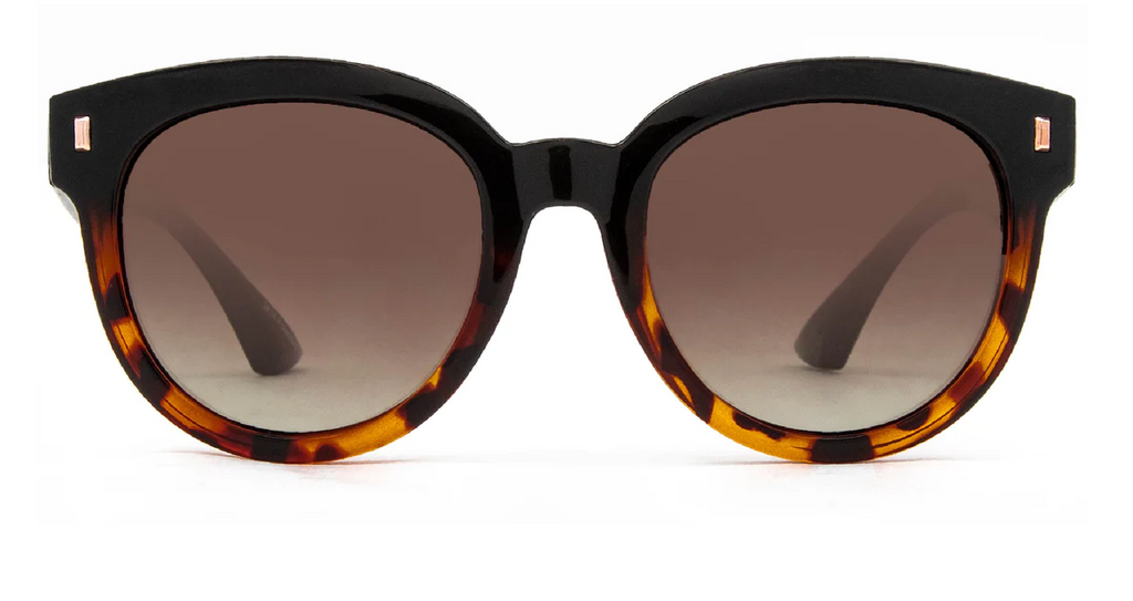 Carve Harpo Gloss Black/Tort Brown