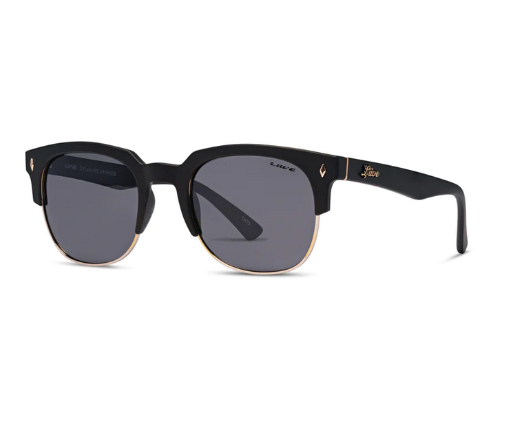 Liive Vision Dylan Polar Matt Black