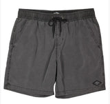 All Day Overdye Layback Boardshorts