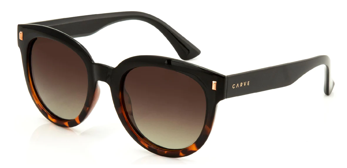 Carve Harpo Gloss Black/Tort Brown