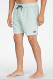 All Day Overdye Layback Boardshorts