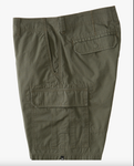 Scheme Cargo Shorts