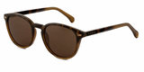 Carve Oslo Tort/Toffee Brown Lens
